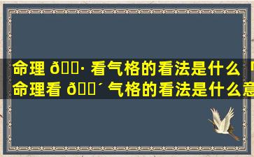 命理 🌷 看气格的看法是什么「命理看 🌴 气格的看法是什么意思」